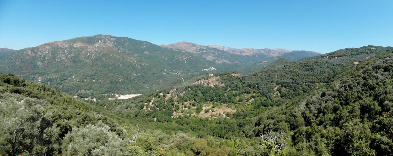 Appartement CASA NEPITA sur vue grandiose à Santa-Lucia-di-Tallano Extérieur photo