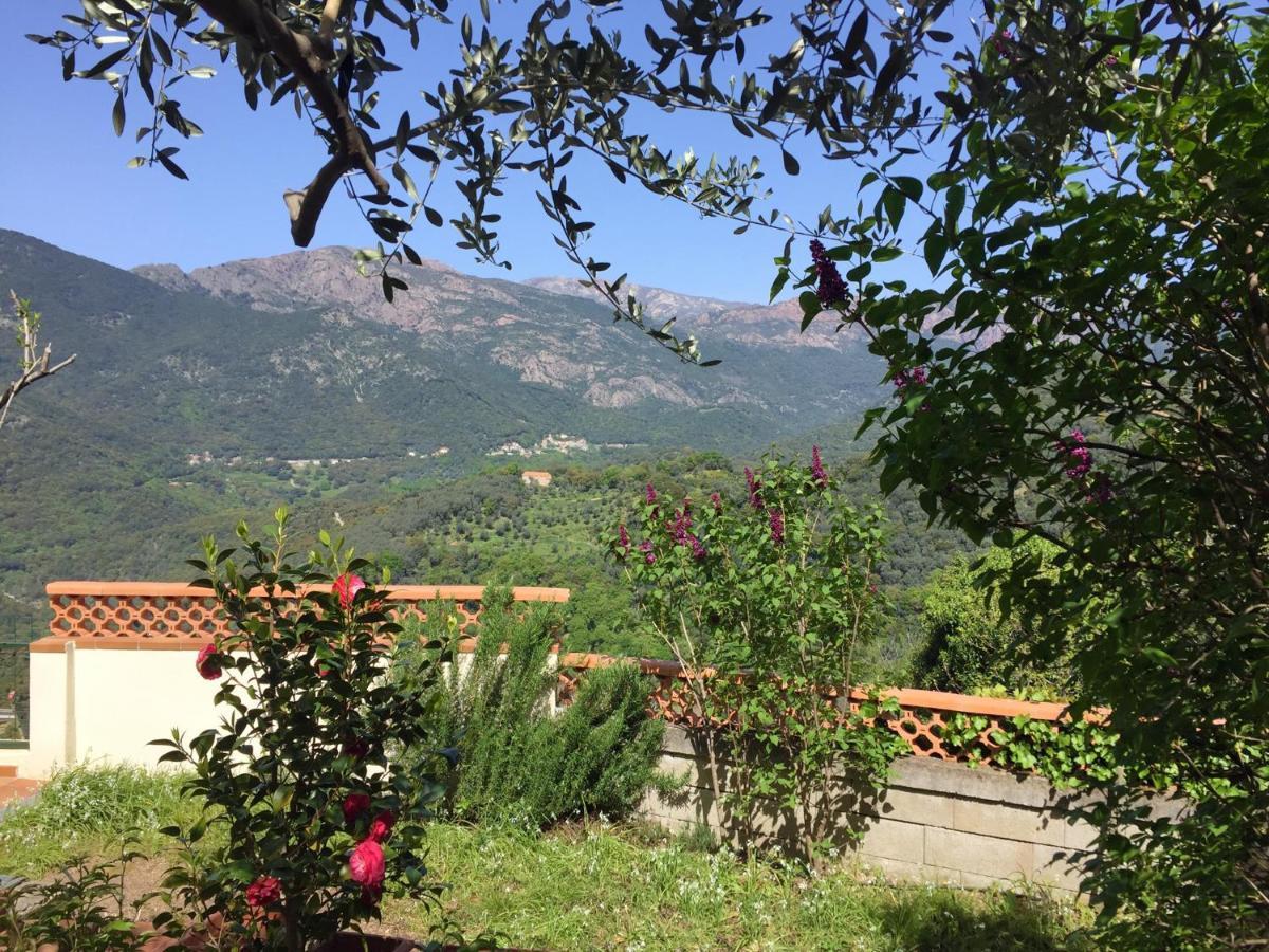 Appartement CASA NEPITA sur vue grandiose à Santa-Lucia-di-Tallano Extérieur photo